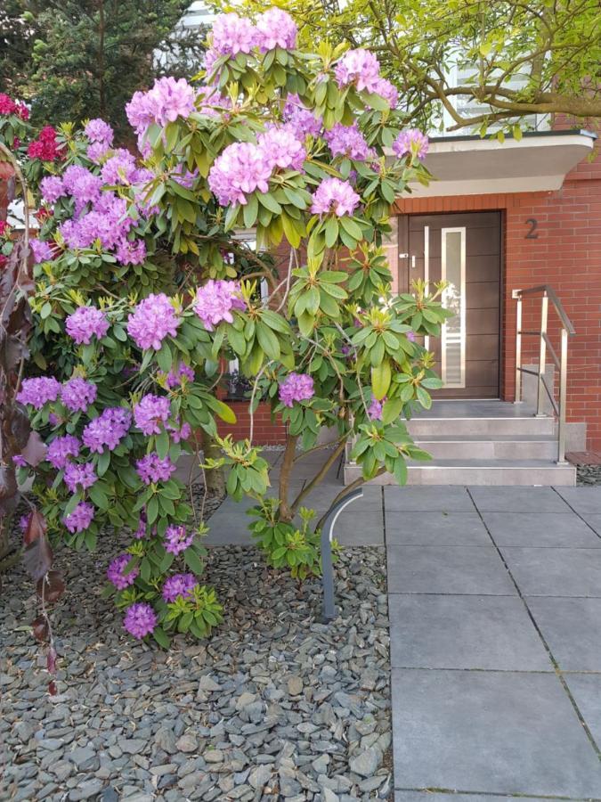 Villa Azalia Łeba Eksteriør bilde
