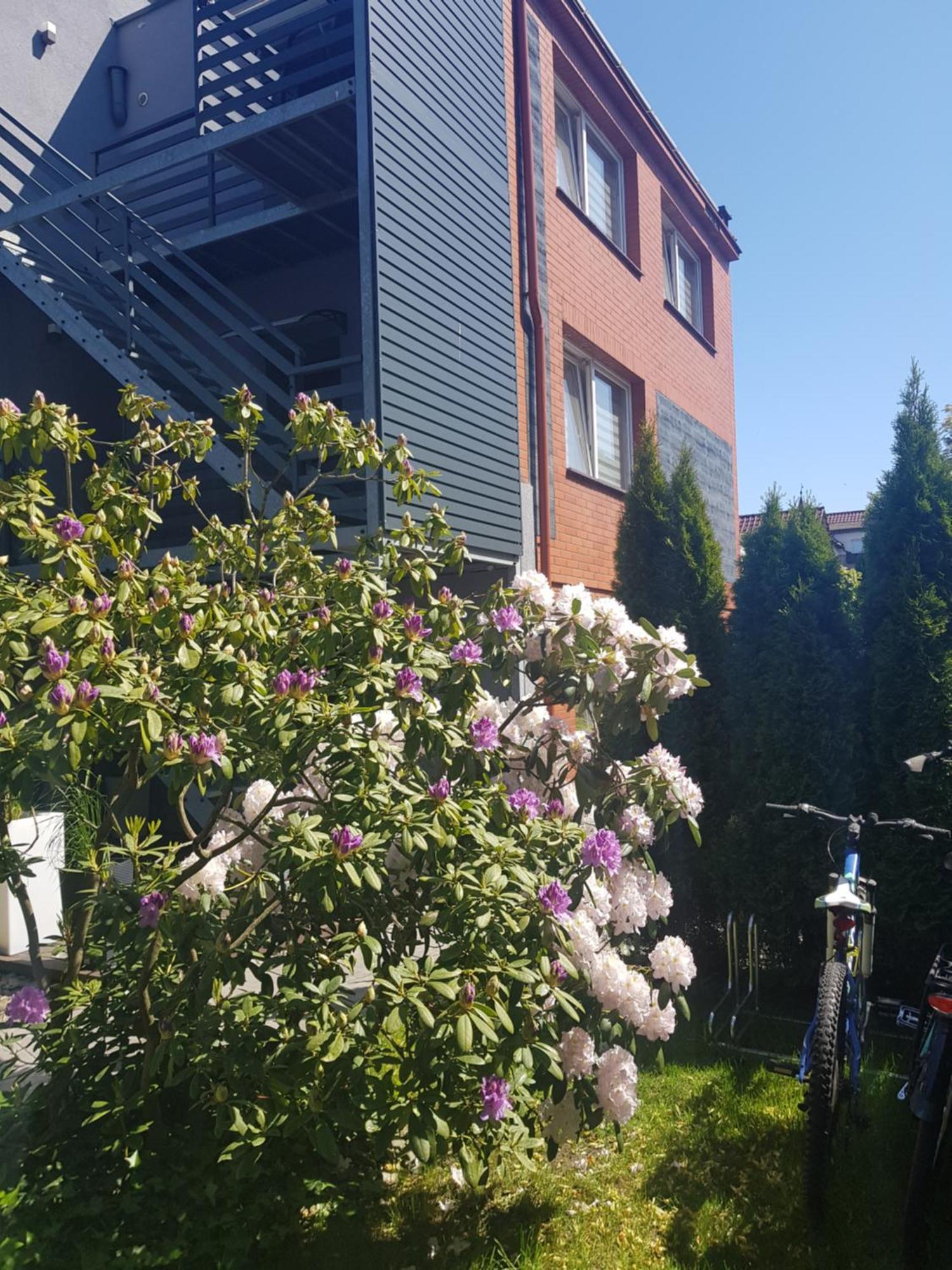 Villa Azalia Łeba Eksteriør bilde